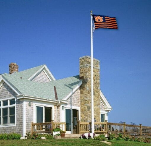 Auburn Tigers US Flag - Image 3