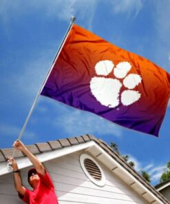 Clemson Tigers Two Tone Color Flag