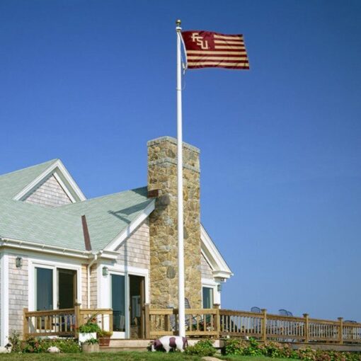 Florida State Seminoles US Flag - Image 3