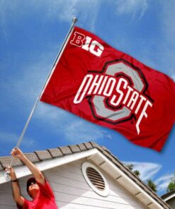 Ohio State Buckeyes Big Ten Flag