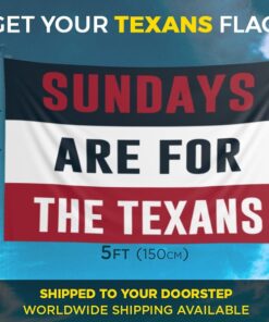 Texans Sundays Flag